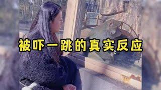 盘点被吓一跳的真实反应，人吓人吓死人，千万不要模仿