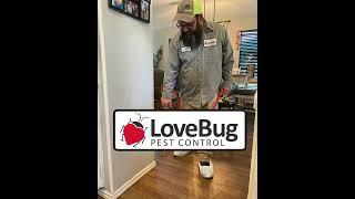 LoveBug Pest Control