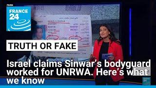 What we know about the ‘UNRWA ID’ allegedly found amidst Sinwar’s belongings • FRANCE 24