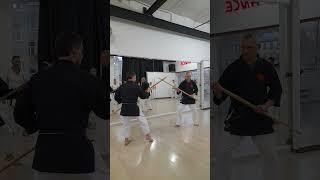 Техники с Бо #martialarts #единоборствадлядетей #матаёсикобудо #karate