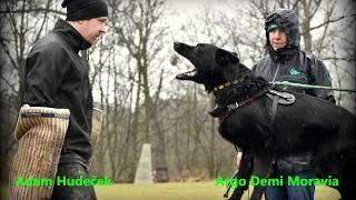 Argo Demi Moravia - March 2019