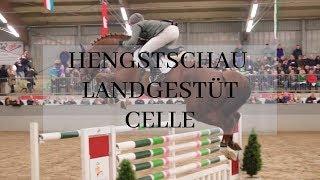 Hengstvorführung Landgestüt Celle - Luhmühlen 2019