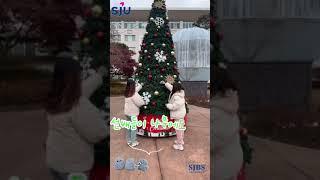 2024 서송정원  루미나리에   |  SJBS  triplets 탐험