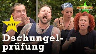 WÜRG-ALARM bei der Dschungelprüfung "Würg & Travel" ⭐️ | Dschungelcamp 2024