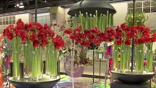 It's a floral takeover! The Philadelphia Flower Show kicks off today