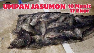 Umpan mancing sakti bisa untuk siang dan malam jaminan neter