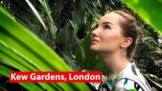 ВЫХОДНЫЕ В ЛОНДОНЕ:КОРОЛЕВСКИЕ БОТАНИЧЕСКИЕ САДЫ КЬЮ/KEW ROYAL BOTANIC GARDENS #12