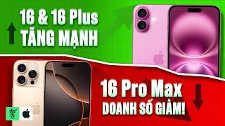 Bất ngờ! Doanh số iPhone 16 Pro Max giảm, iPhone 16 & 16 Plus lại tăng mạnh?