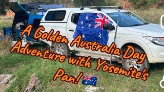 A Golden Australia Day Adventure with Yosemite's Pan! 