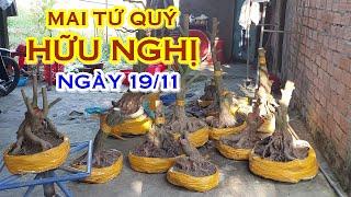 ANH VŨ  O987879749 GIÁ TỐ - MAI TỨ QUÝ DÁNG ĐẸP GIAO LƯU NGÀY 19/11 "@MAIVANGNAMBO"