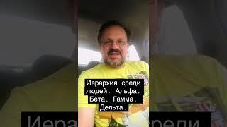 Иерархия в группе. Люди всегда занимают места согласно ролям. Альфа, бета, гамма, дельта