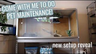 PET MAINTENANCE VLOG! | cleaning and feeding