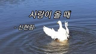 사랑이 올 때/ 신현림