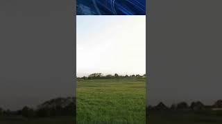БЫК НАСМЕРТЬ ЗАТОПТАЛ ПЕНСИОНЕРА #гомель #новости #беларусь
