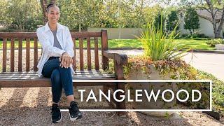 Community Spotlight: Tanglewood Houston