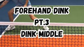 Pro Pickleball Tip: Forehand Dink- Dink Middle