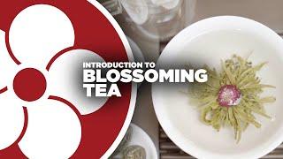 What is BLOSSOMING TEA?