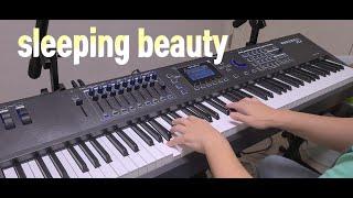 하트시그널ost Paul - sleeping beauty (cover by PY)