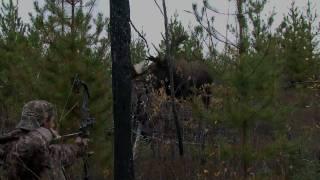 World Record Moose hunting