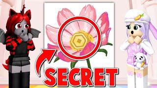 Speed Draws BIGGEST SECRET!  | Roblox