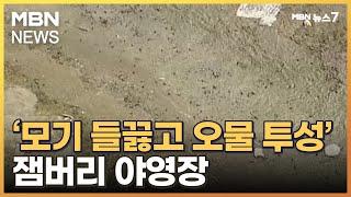 '모기 들끓고 오물 투성'…잼버리 야영장 내부 영상 확보 [MBN 뉴스7]