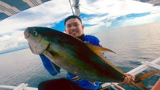 Landed 6.9 kg Amberjack |  Whole day fishing session | Jigging | Cebu Philippines | BiRRA