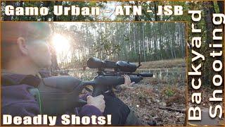 HUNTING FOOTAGE – The Gamo Urban Paired Up With ATN & JSB Hades A Great Hunting Combo?