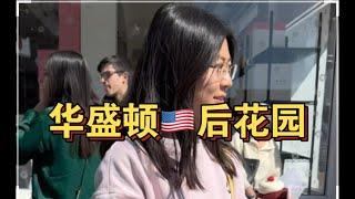 今天来到了美国华盛顿的后花园-乔治城，一起来看一看美国城市生活区到底是什么样的吧！#美国生活 #美国