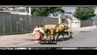 Porto, 1960s Portugal, HD from 16mm