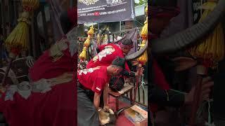 PAMIT MULIH BANTENG LEMBU PUTRO SEWU #shortvideo #bantengan #senibantengan #kudalumping #shorts