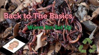 Basic Worm Bin Getting Back to The Basics