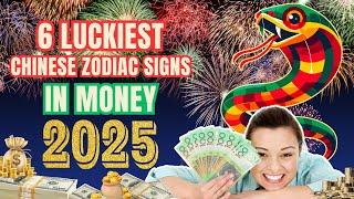 6 Luckiest Chinese Zodiac Signs in Money in 2025 | Ziggy Natural