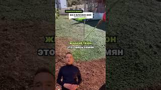 Бизнес на жидком газоне! Контакты и бизнес план в шапке профиля #бизнесидеи #бизнесснуля