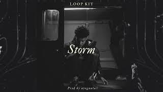 [FREE] Nardo Wick Loop Kit - "Storm" (Nardo Wick, EST Gee, Dark)