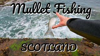 Mullet Fishing In Scotland