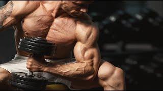 Best Workout Music Mix 2024  Best Gym Music 2024  Gym Motivation Music #13