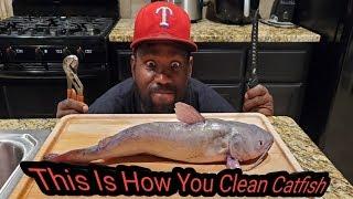 Simple Steps To Skin And Fillet Any Catfish Correctly