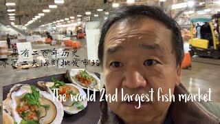 The world 2nd largest fish market / 世界第二大海鲜批发市场/蒜香烤生蚝