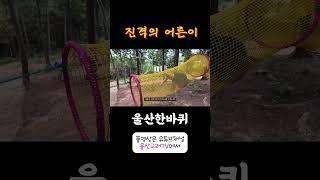 [울산한바퀴ep. 3- 동구편 : 러닝 한다니까 팀장님 촬영불참!! 우연일까...]#울산한바퀴#러닝스팟공유#여행에미치다#뷰맛집#웃음폭탄#구독각#울산고래tv