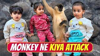 Monkey ne kiya attack