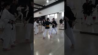 Матаёси кобудо. Техники сай #единоборствадлядетей #martialarts #сэйдокан #сай #трезубец #окинавабудо