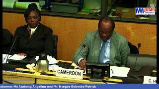 Day Two of the UN Committee Review on Torture - Cameroon