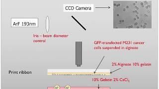 Laser direct-write bioprinting