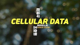 ️무료음원 BEREUJE - Cellular data 브이로그음악 유튜브브금 다운로드 무료BGM(K-POP)
