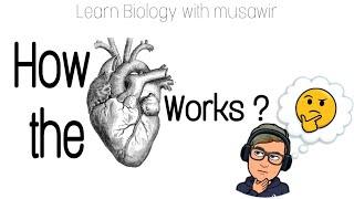 How the heart works ?  | learn Biology with musawir| #heart #humanheart