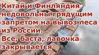 Запрет на экспорт в России леса кругляка вызвал недовольство Китая и Финляндии новости сегодня видео