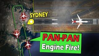 Qantas B737 ENGINE EXPLOSION ON TAKEOFF | Grass Fire Sparked!