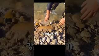 이 돌 하나 주웠더니... 인생 역전했습니다!