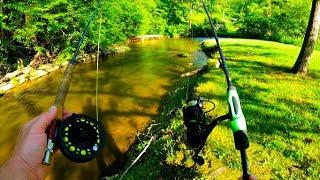 Fly Fishing & Spin Fishing in a River infested with Trout