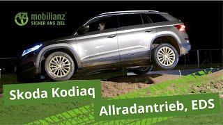 Skoda Kodiaq - Allradantrieb, EDS